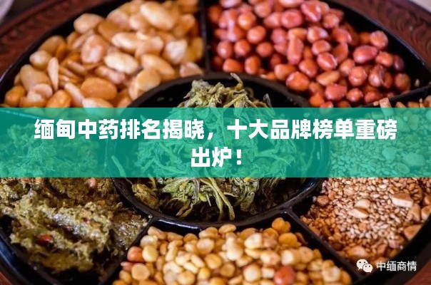缅甸中药排名揭晓，十大品牌榜单重磅出炉！