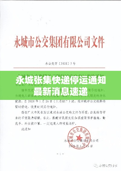大雅君子