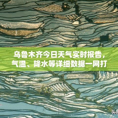 恋恋不舍