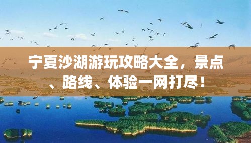 宁夏沙湖游玩攻略大全，景点、路线、体验一网打尽！