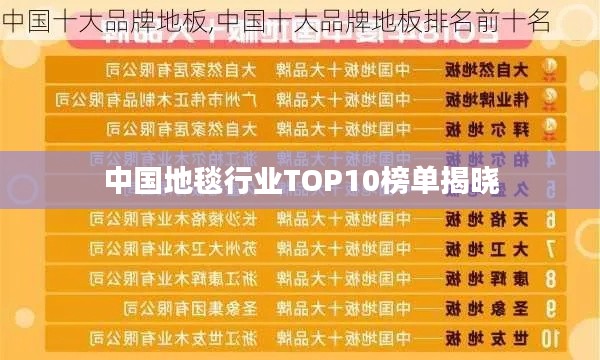 中国地毯行业TOP10榜单揭晓