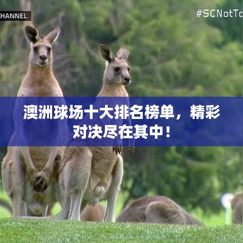 七嘴八张