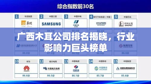 广西木耳公司排名揭晓，行业影响力巨头榜单