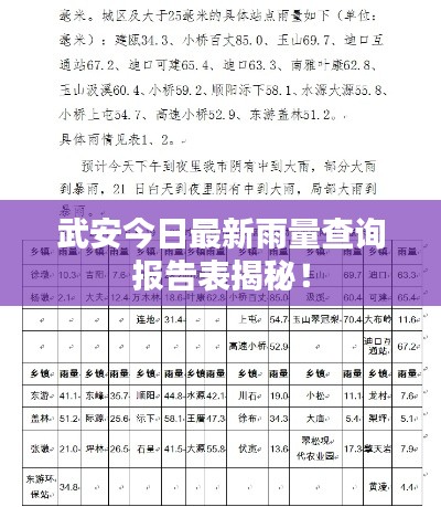 武安今日最新雨量查询报告表揭秘！