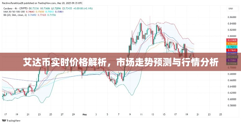 艾达币实时价格解析，市场走势预测与行情分析