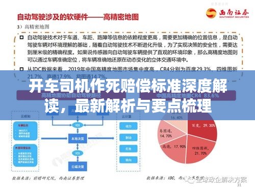 开车司机作死赔偿标准深度解读，最新解析与要点梳理