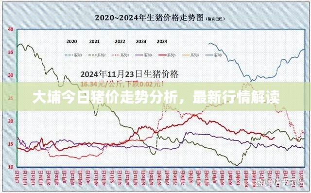 大埔今日猪价走势分析，最新行情解读