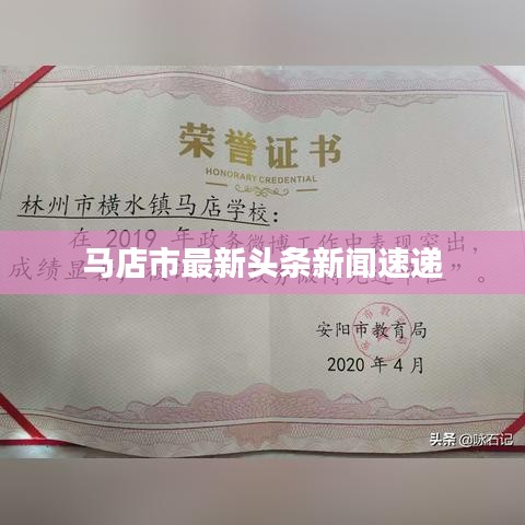 马店市最新头条新闻速递