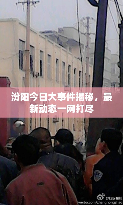 还醇返朴