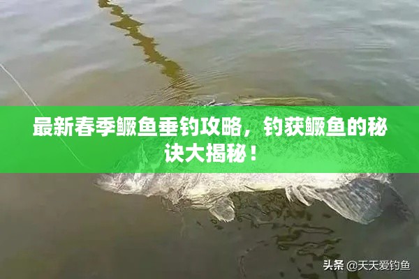 鸟入樊笼