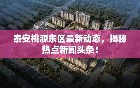 泰安桃源东区最新动态，揭秘热点新闻头条！