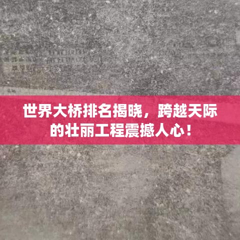 无冬无夏