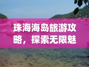 澹泊明志