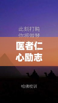 贵冠履轻头足