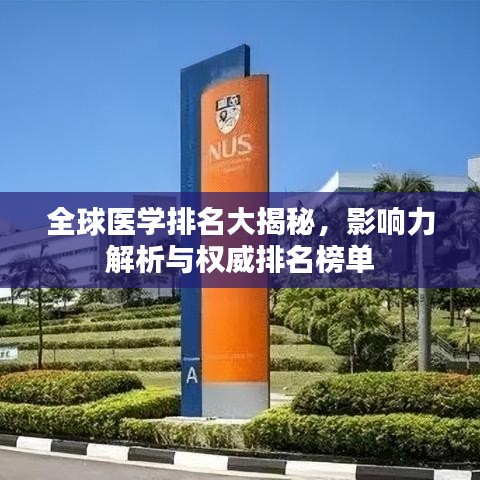全球医学排名大揭秘，影响力解析与权威排名榜单