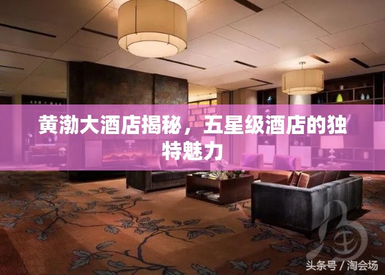 黄渤大酒店揭秘，五星级酒店的独特魅力
