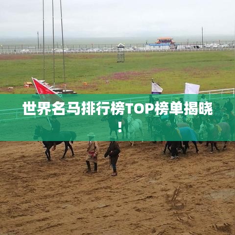 世界名马排行榜TOP榜单揭晓！