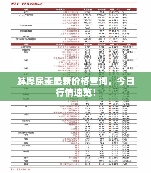文质彬彬