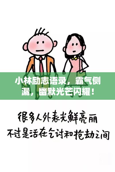 有张没智