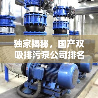 独家揭秘，国产双吸排污泵公司排名榜单，权威榜单不容错过！