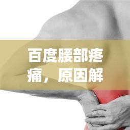 象耕鸟耘