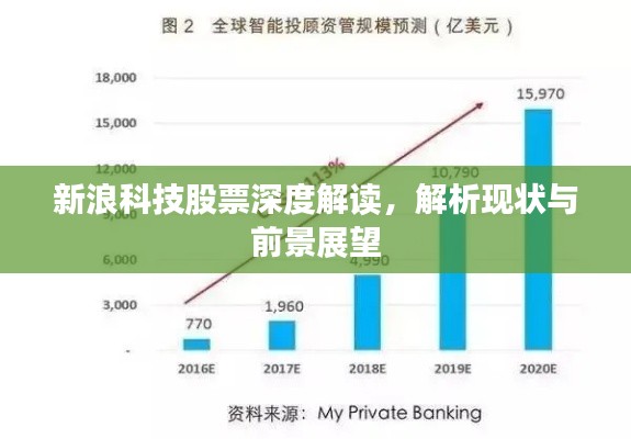 新浪科技股票深度解读，解析现状与前景展望