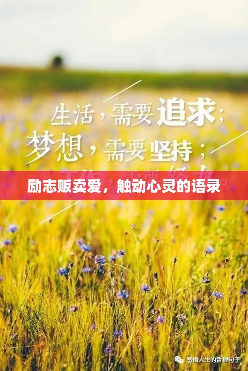 励志贩卖爱，触动心灵的语录