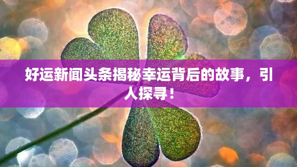 好运新闻头条揭秘幸运背后的故事，引人探寻！