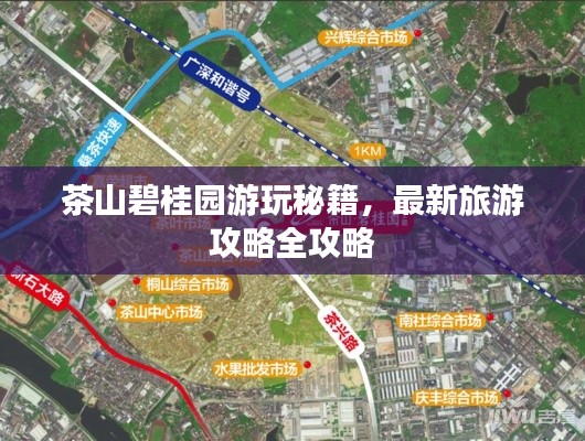 茶山碧桂园游玩秘籍，最新旅游攻略全攻略