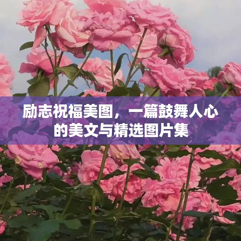 励志祝福美图，一篇鼓舞人心的美文与精选图片集