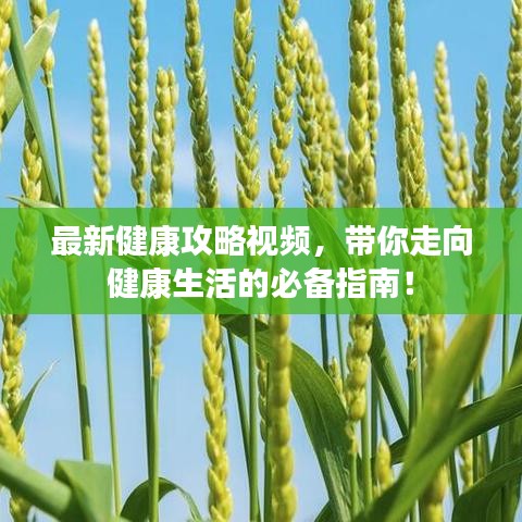 2025年6月12日