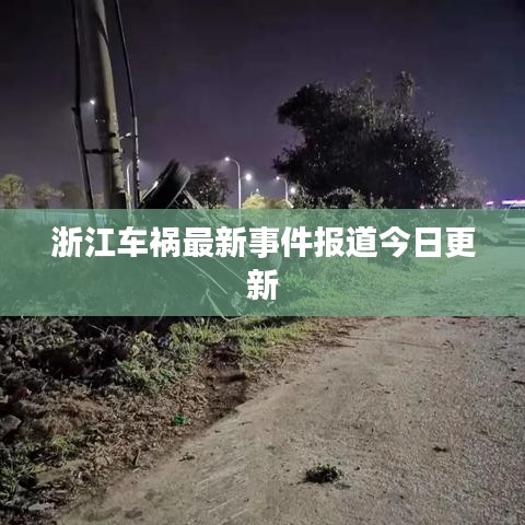 法贵必行