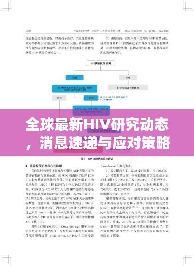 全球最新HIV研究动态，消息速递与应对策略探讨