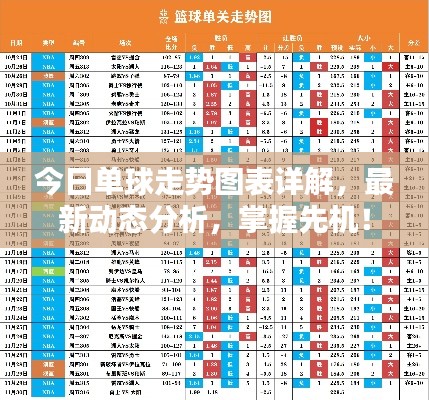 雍容华贵