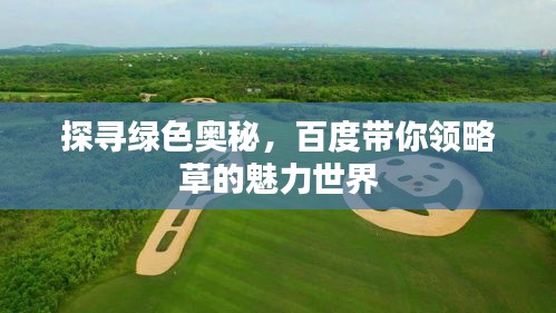 探寻绿色奥秘，百度带你领略草的魅力世界
