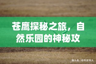苍鹰探秘之旅，自然乐园的神秘攻略