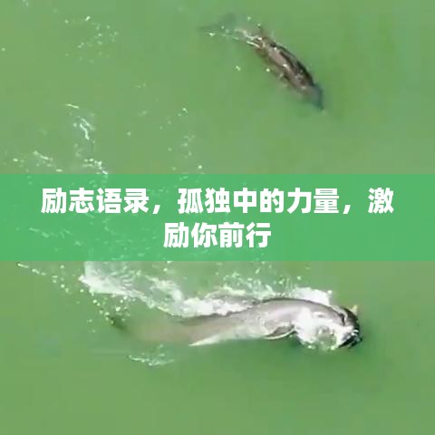 励志语录，孤独中的力量，激励你前行