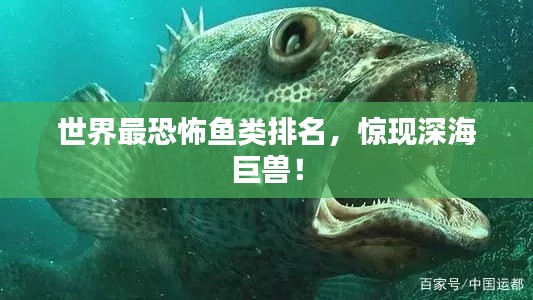 质而不俚