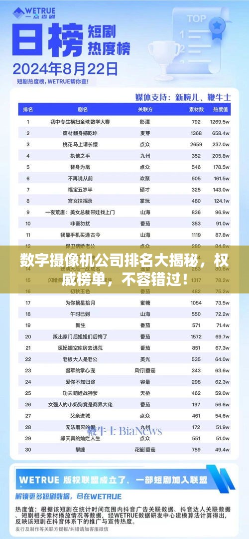 数字摄像机公司排名大揭秘，权威榜单，不容错过！
