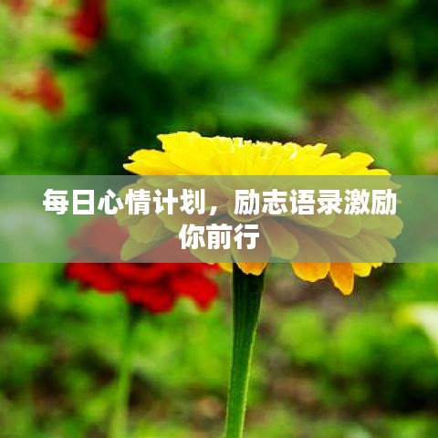 每日心情计划，励志语录激励你前行