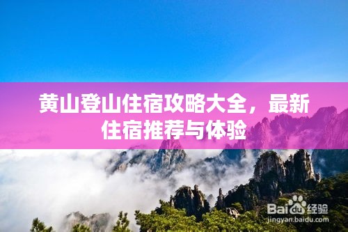 乌鸟私情