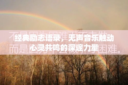 花容月貌