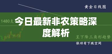 貌美如花