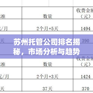 苏州托管公司排名揭秘，市场分析与趋势展望
