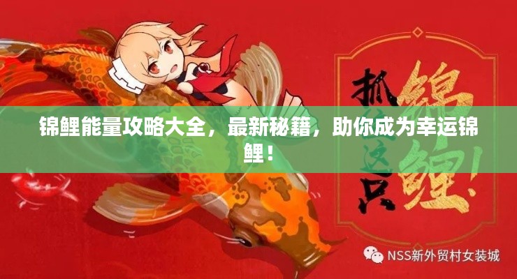 明目张胆