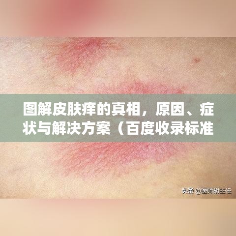 飞鸟依人
