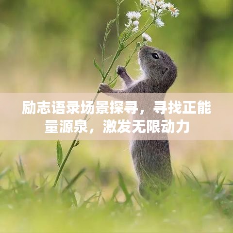 励志语录场景探寻，寻找正能量源泉，激发无限动力