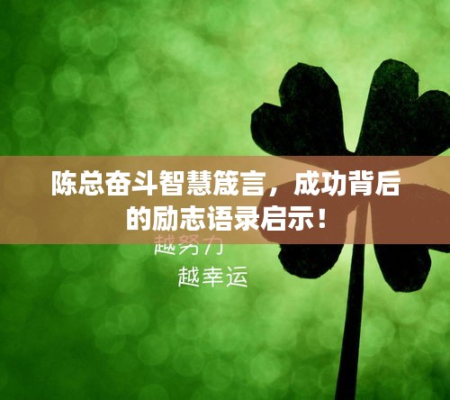 陈总奋斗智慧箴言，成功背后的励志语录启示！