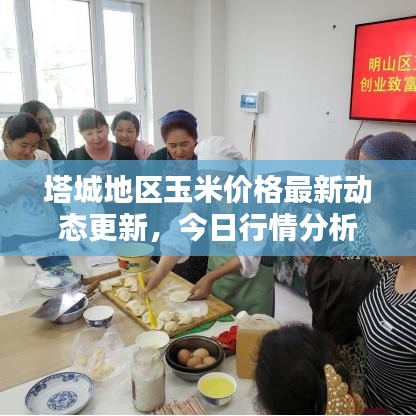 塔城地区玉米价格最新动态更新，今日行情分析