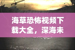 海草恐怖视频下载大全，深海未知恐惧探索之旅